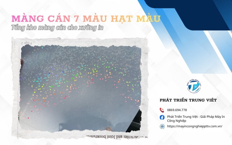 Màng cán 7 màu hạt màu – Hiệu ứng hạt tròn, ánh mạnh trên bề mặt in